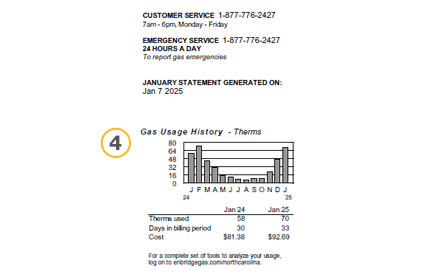 Snippet of Enbridge Gas bill - meter and usage section