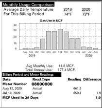 Enbridge Gas Ohio bill - monthly usage comparison section