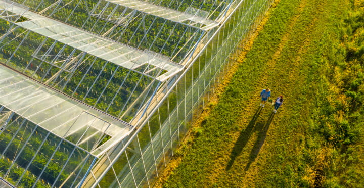 An aerial view of two people walking next to a large industrial greenhouse.