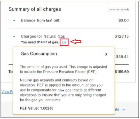 Illustration of how to find PEF value for your account 