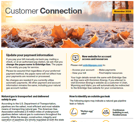 Screenshot of Customer Connection newsletter