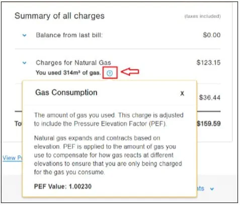 Illustration of how to find PEF value for your account 